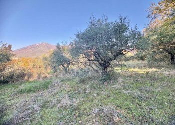 WhatsApp Image 2025-12-10 at 13.49.37 (3).jpeg - Terreno agricolo Via dei Caolini snc, Marcellina - foto 7