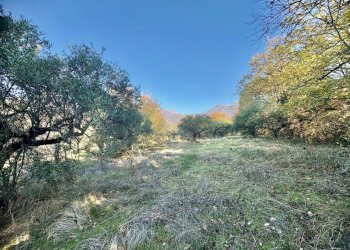 WhatsApp Image 2025-12-10 at 13.49.38.jpeg - Terreno agricolo Via dei Caolini snc, Marcellina - foto 9