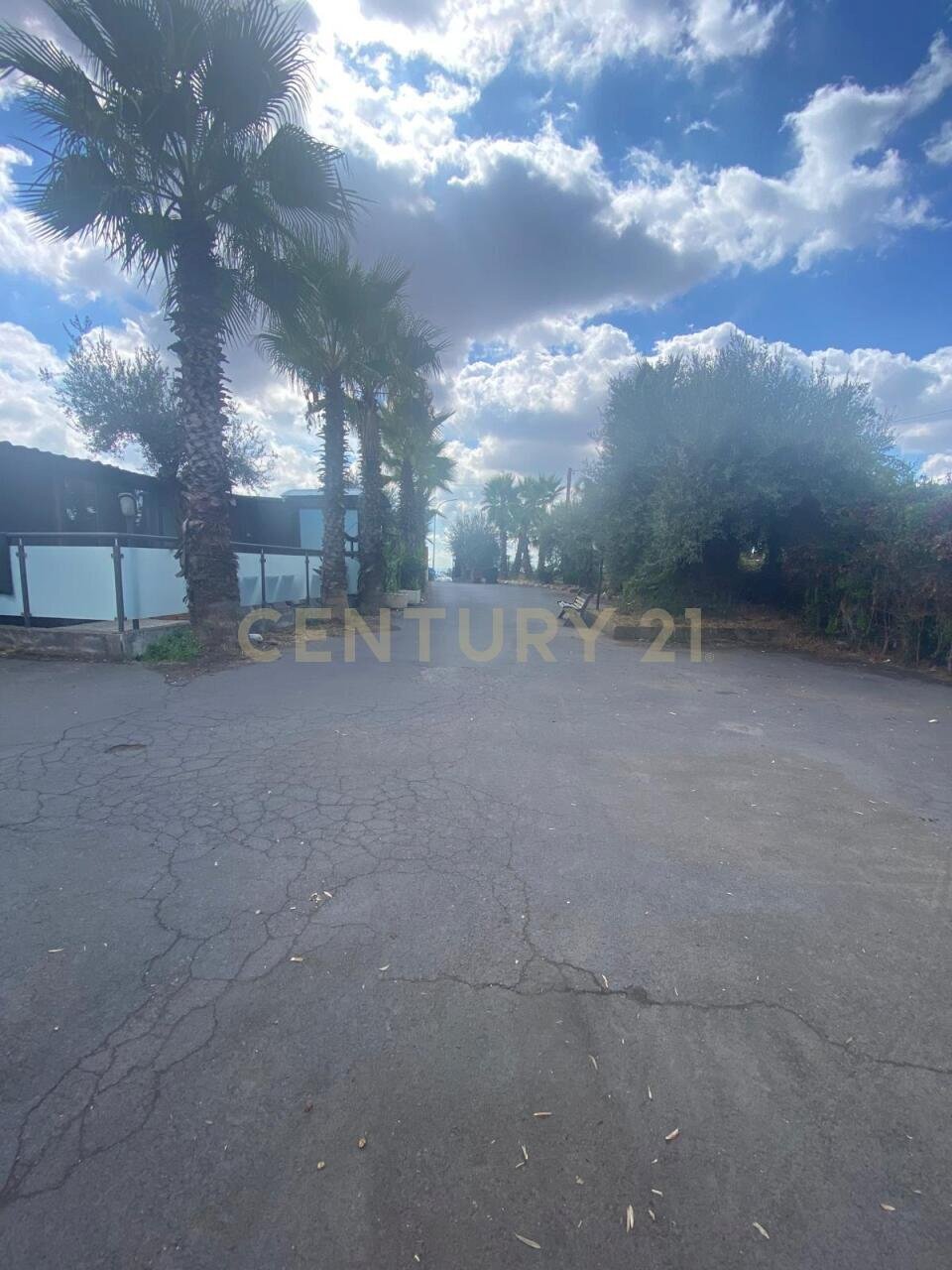 WhatsApp Image 2025-12-10 at 00.38.34.jpeg - Pizzeria Via Alcide de Gasperi 110, Mascalucia - foto 3