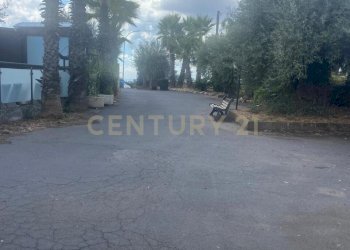 WhatsApp Image 2025-12-10 at 00.38.33.jpeg - Pizzeria Via Alcide de Gasperi 110, Mascalucia - photo 2