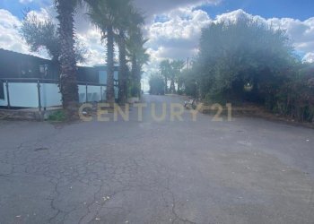 WhatsApp Image 2025-12-10 at 00.38.34.jpeg - Pizzeria Via Alcide de Gasperi 110, Mascalucia - photo 3