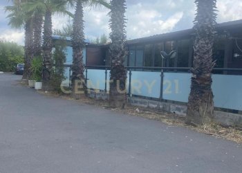 WhatsApp Image 2025-12-10 at 00.38.37.jpeg - Pizzeria Via Alcide de Gasperi 110, Mascalucia - photo 6