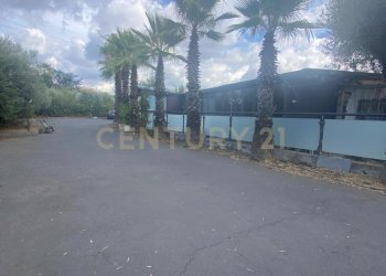 WhatsApp Image 2025-12-10 at 00.38.37 (1).jpeg - Pizzeria Via Alcide de Gasperi 110, Mascalucia - photo 7