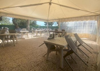 WhatsApp Image 2025-12-10 at 00.38.39 (5).jpeg - Pizzeria Via Alcide de Gasperi 110, Mascalucia - photo 25