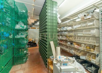 Bottega Cannizzaro (27).jpg - Commercial Premises Via Firenze 205, Aci Castello - photo 26