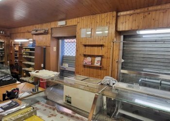 20240715_105050.jpg - Non Alimentare Via Emanuele Foa, Vercelli - foto 10