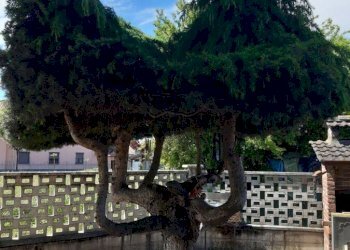 25e3b51c-103a-4281-a019-df872cd443ea.jpg - Villa Via Magenta 4, Villata - photo 11