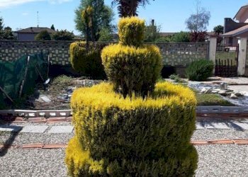 20759007-cb07-4a11-9b02-f6e96baa6379.jpg - Villa Via Magenta 4, Villata - photo 18