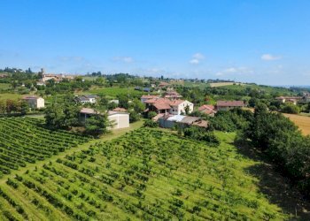 dji_fly_20250707_105110_184_1751878286887_photo_op - Terratetto - Terracielo Strada San Giorgio 8, Torino - foto 6