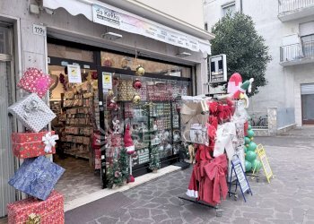 Negozio Venezia - foto 1