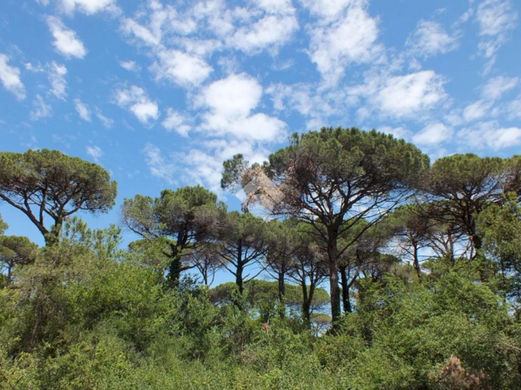 Appartamento Cervia, Cervia - foto 1