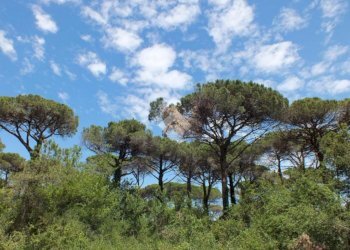 Appartamento Cervia, Cervia - foto 1