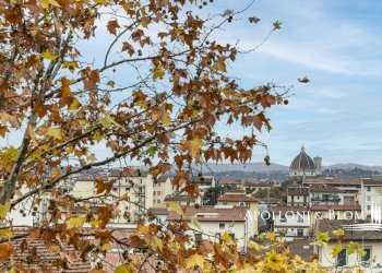 Appartamento Via dei Mille, 60, Firenze - foto 30