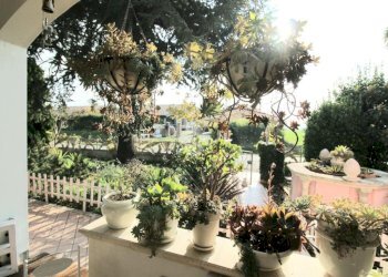 Villa Via cerchia di san martino, Cesena - photo 34