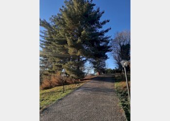 Casa indipendente Asti - foto 17