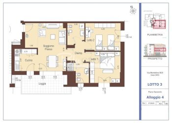 Attic Carpi - photo 1