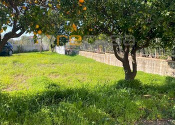 Foto 21 - Casa semi indipendente Contrada Incassata
 
snc, Montecorvino Rovella - foto 21