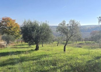 Foto 5 - Casa indipendente Contrada Pescocupo, Paternopoli - foto 5
