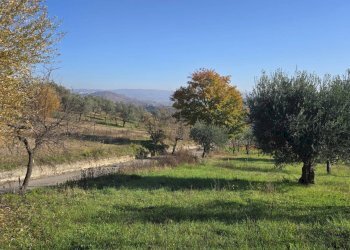 Foto 7 - Casa indipendente Contrada Pescocupo, Paternopoli - foto 7
