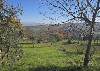 Foto 10 - Casa indipendente Contrada Pescocupo, Paternopoli - foto 10
