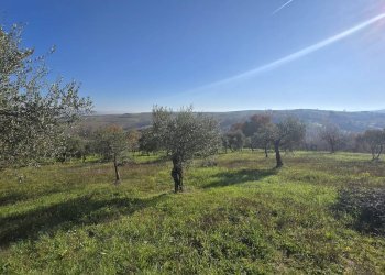 Foto 18 - Casa indipendente Contrada Pescocupo, Paternopoli - foto 18