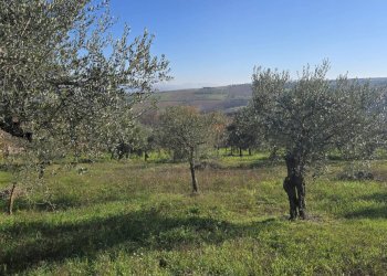 Foto 21 - Casa indipendente Contrada Pescocupo, Paternopoli - foto 21