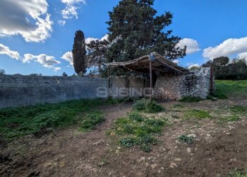 Foto 11 - Terreno agricolo contrada stallaini
 
snc, Noto - foto 11