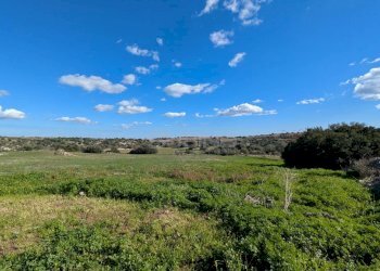 Foto 12 - Terreno agricolo contrada stallaini
 
snc, Noto - foto 12