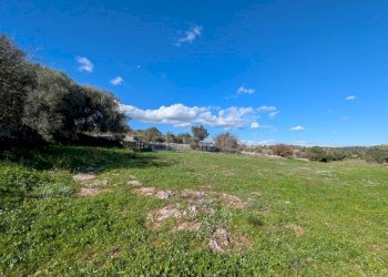 Foto 13 - Terreno agricolo contrada stallaini
 
snc, Noto - foto 13