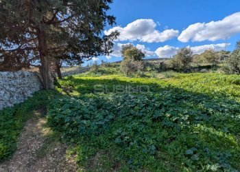 Foto 14 - Terreno agricolo contrada stallaini
 
snc, Noto - foto 14
