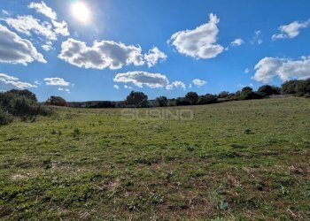 Foto 17 - Terreno agricolo contrada stallaini
 
snc, Noto - foto 17