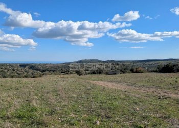 Foto 19 - Terreno agricolo contrada stallaini
 
snc, Noto - foto 19