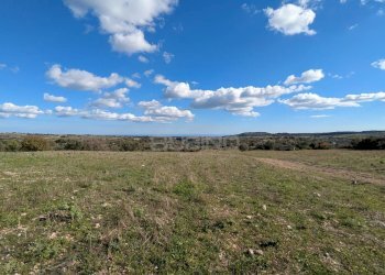 Foto 21 - Terreno agricolo contrada stallaini
 
snc, Noto - foto 21