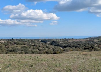 Foto 23 - Terreno agricolo contrada stallaini
 
snc, Noto - foto 23