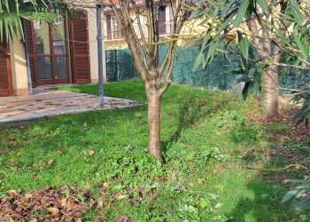 Foto 2 - Villa Monte Grappa, Lonate Pozzolo - foto 2