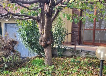 Foto 4 - Villa Monte Grappa, Lonate Pozzolo - foto 4