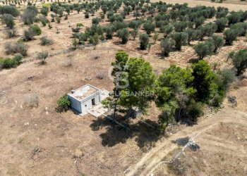 Foto 7 - Terreno edificabile Contrada Coltura
 
snc, Latiano - foto 7