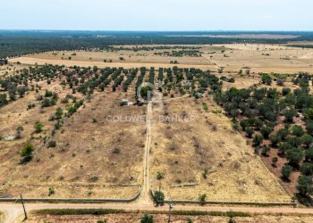 Foto 9 - Terreno edificabile Contrada Coltura
 
snc, Latiano - foto 9