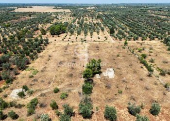 Foto 10 - Terreno edificabile Contrada Coltura
 
snc, Latiano - foto 10