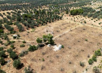 Foto 11 - Terreno edificabile Contrada Coltura
 
snc, Latiano - foto 11