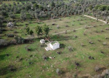 Foto 12 - Terreno edificabile Contrada Coltura
 
snc, Latiano - foto 12