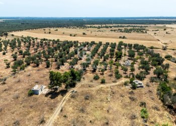 Foto 13 - Terreno edificabile Contrada Coltura
 
snc, Latiano - foto 13