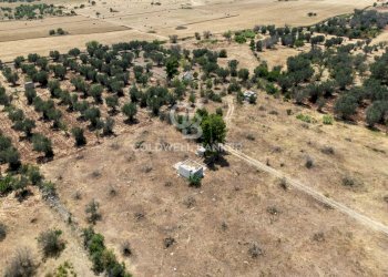 Foto 14 - Terreno edificabile Contrada Coltura
 
snc, Latiano - foto 14