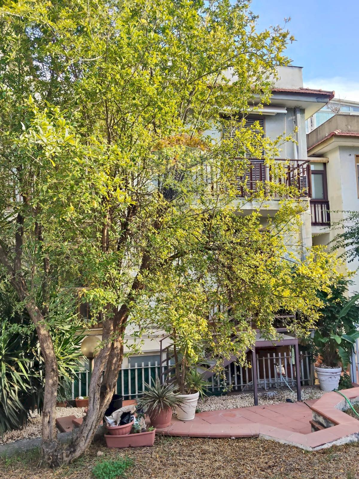 Giardino - Appartamento Viale Angelo Vasta
 
4, Catania - foto 1