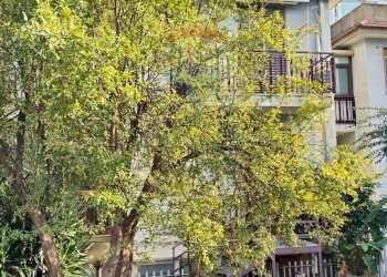 Giardino - Appartamento Viale Angelo Vasta
 
4, Catania - foto 1