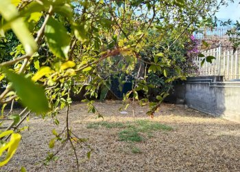 Giardino - Appartamento Viale Angelo Vasta
 
4, Catania - foto 5