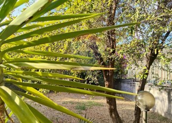 Giardino - Appartamento Viale Angelo Vasta
 
4, Catania - foto 7