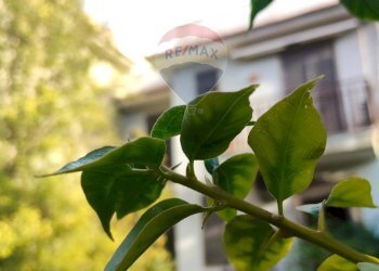 Dettagli - Appartamento Viale Angelo Vasta
 
4, Catania - foto 31