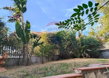 Giardino - Appartamento Viale Angelo Vasta
 
4, Catania - foto 38