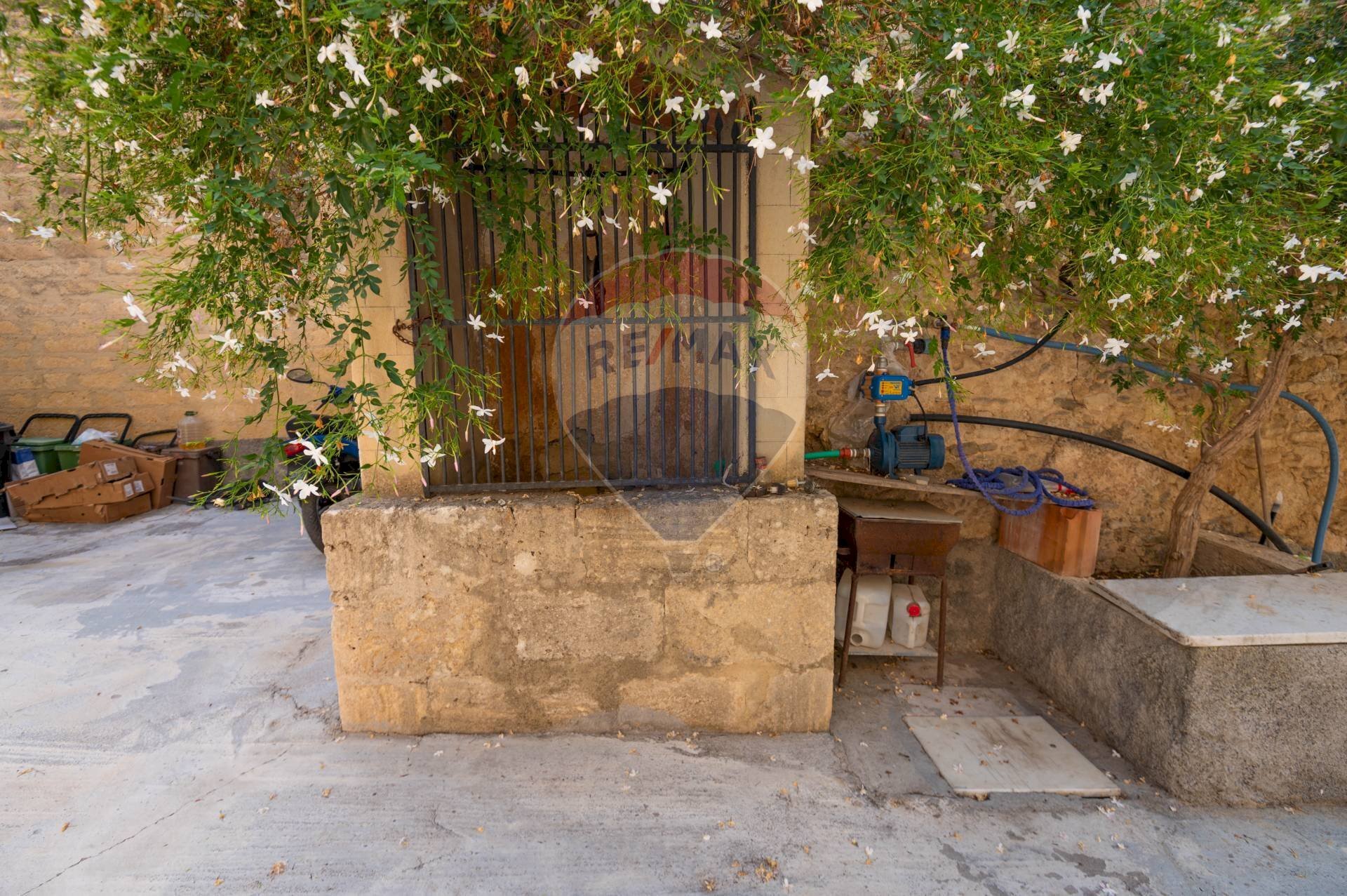 Giardino - Casa indipendente Via Madonna della Pietra
SNC, Mineo - foto 3